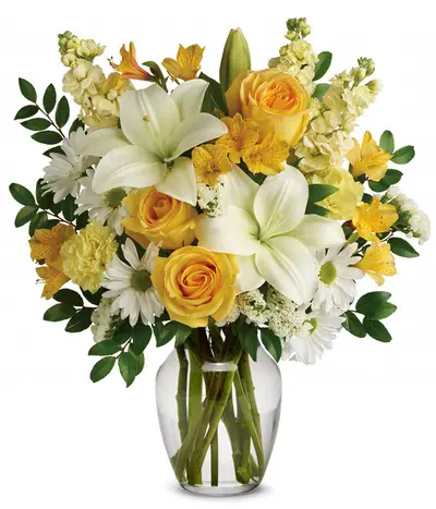 Get Well Soon Amy Lebanon